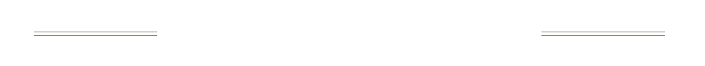 人気のおまかせ串