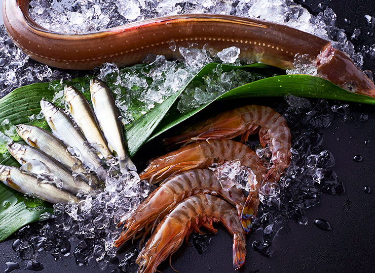 海鮮食材